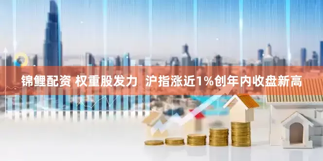 锦鲤配资 权重股发力  沪指涨近1%创年内收盘新高